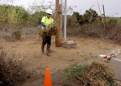 Pole Clearing